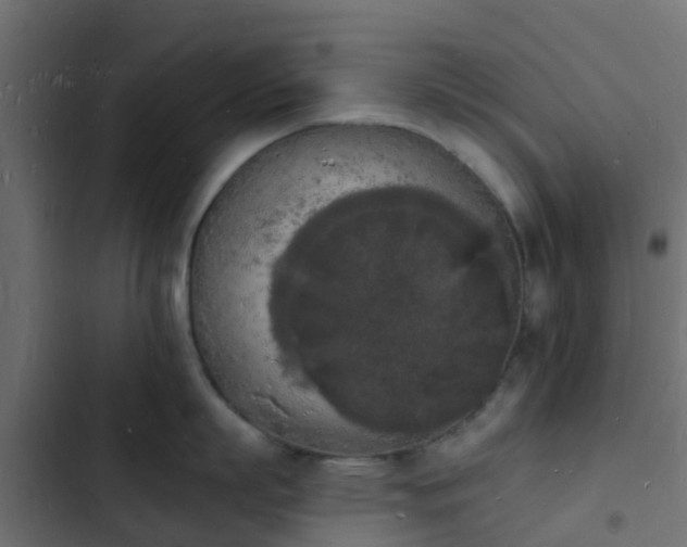 X0000103970863200809261832