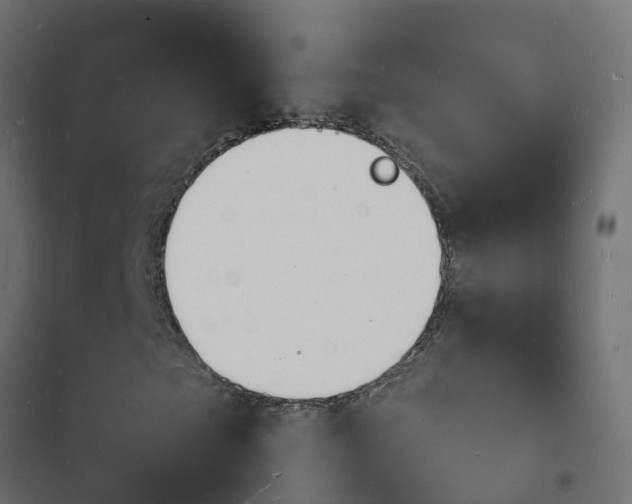 X0000103970865200809261832