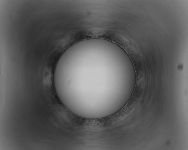 X0000103970866200809261832