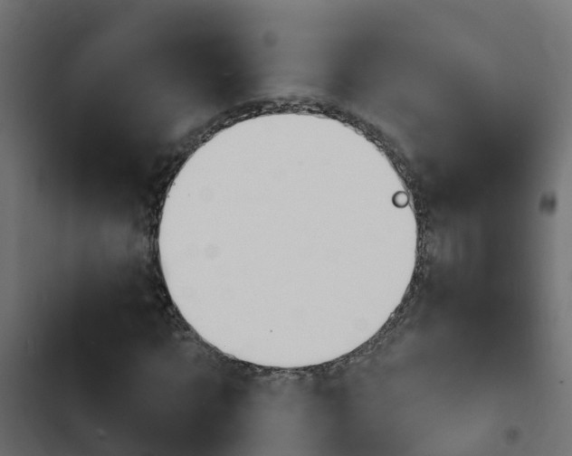 X0000103970869200809261832