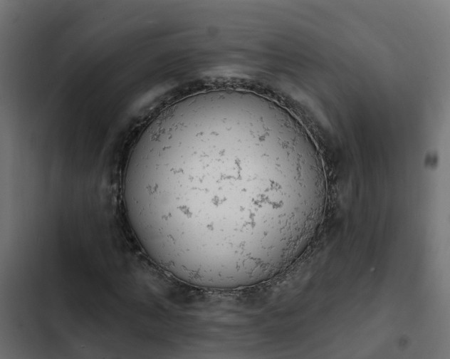 X0000103970870200809261832