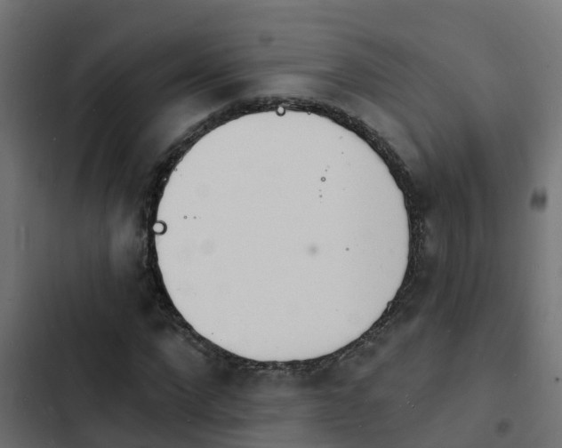 X0000103970872200809261832