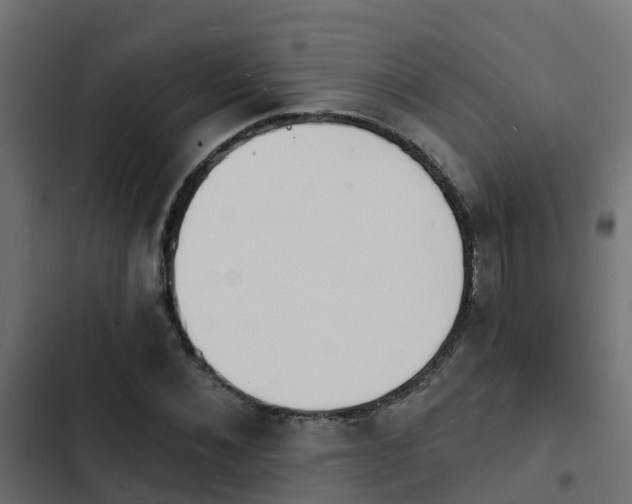 X0000103970876200809261832