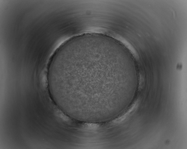 X0000103970878200809261832