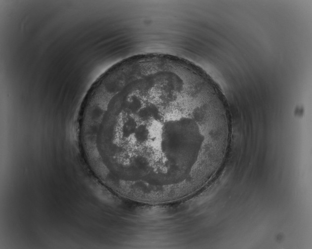 X0000103970879200809261832