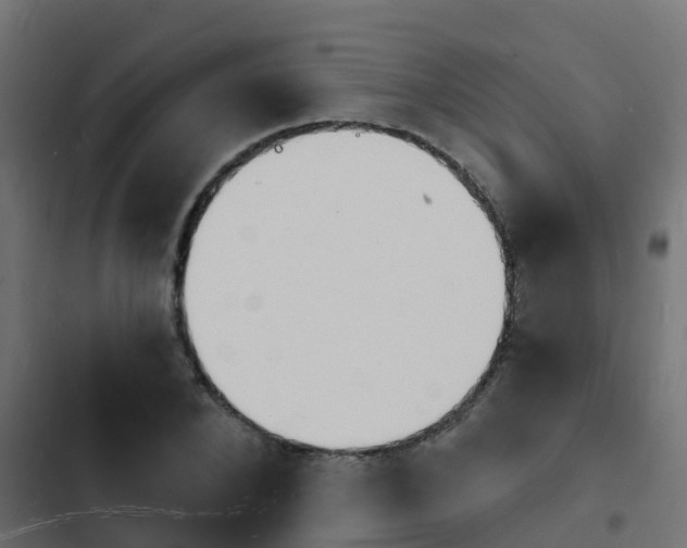 X0000103970880200809261832