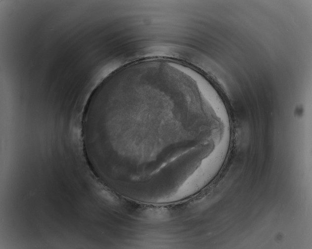 X0000103970882200809261832