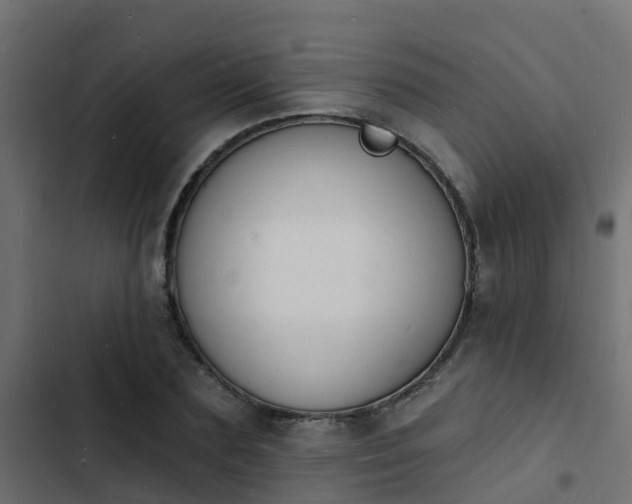 X0000103970883200809261832