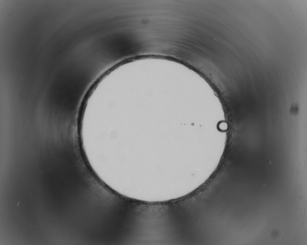 X0000103970884200809261832