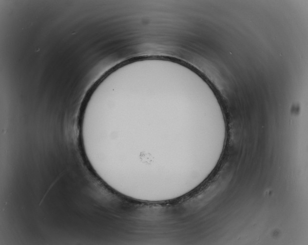 X0000103970885200809261832