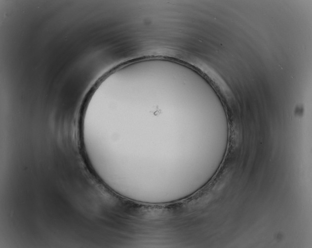 X0000103970886200809261832