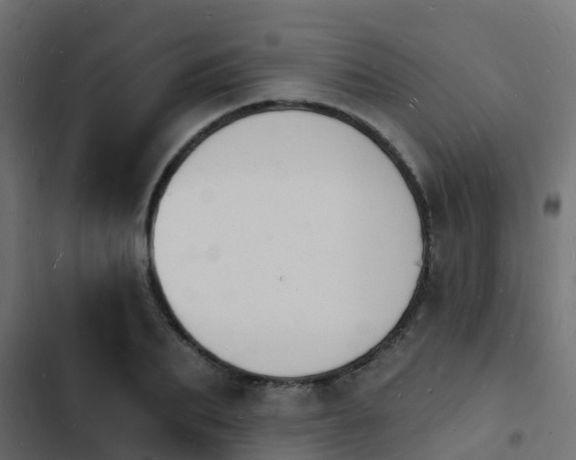 X0000103970887200809261832