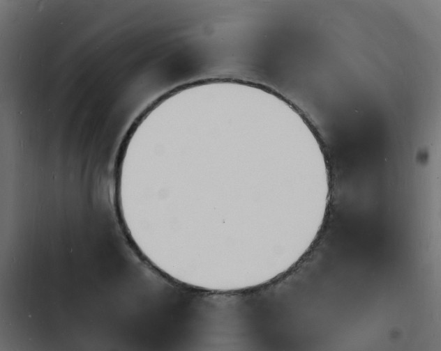 X0000103970888200809261832