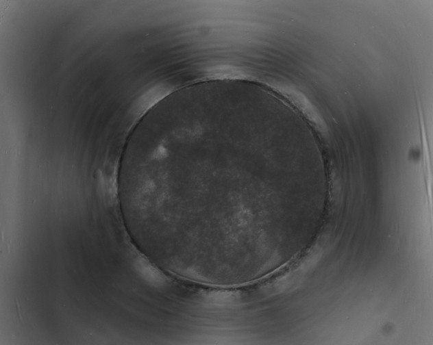 X0000103970889200809261832