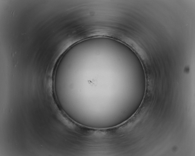 X0000103970890200809261831