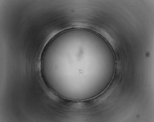 X0000103970891200809261831