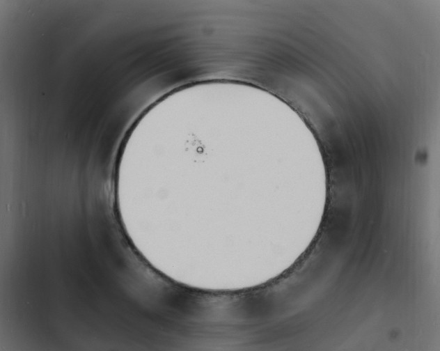 X0000103970892200809261831