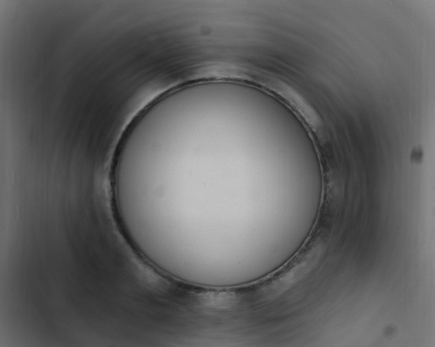 X0000103970893200809261831