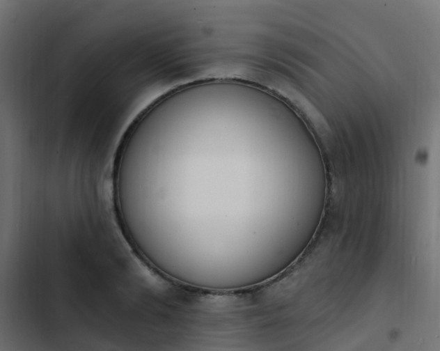 X0000103970894200809261831