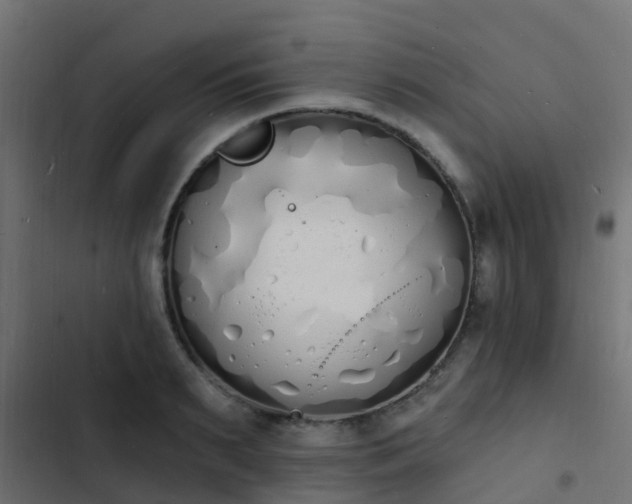 X0000103970895200809261831