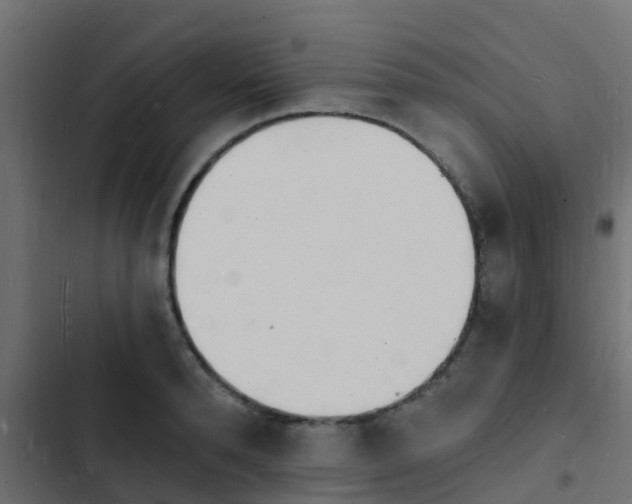 X0000103970896200809261831