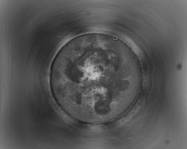 X0000103970899200809261831