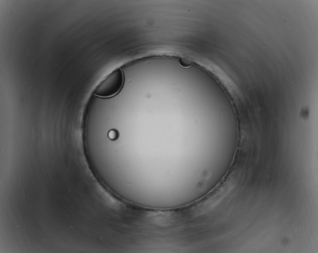 X0000103970902200809261831