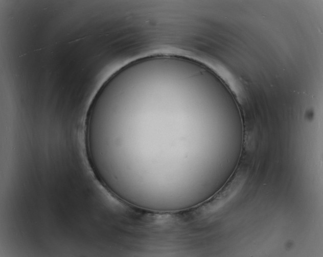 X0000103970903200809261831