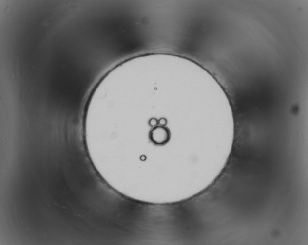 X0000103970904200809261831