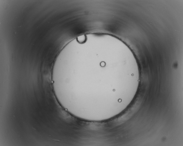 X0000103970905200809261831