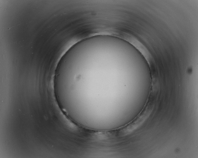 X0000103970906200809261831