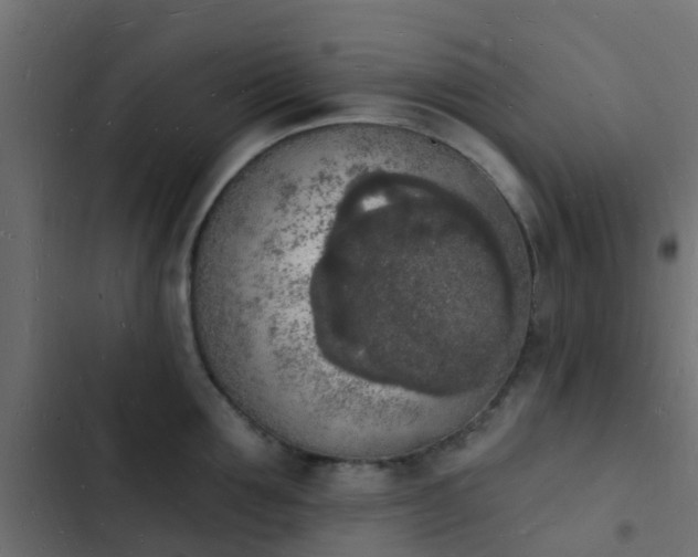 X0000103970907200809261831