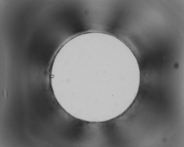 X0000103970908200809261831