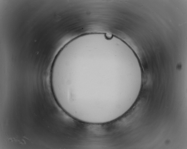 X0000103970909200809261831