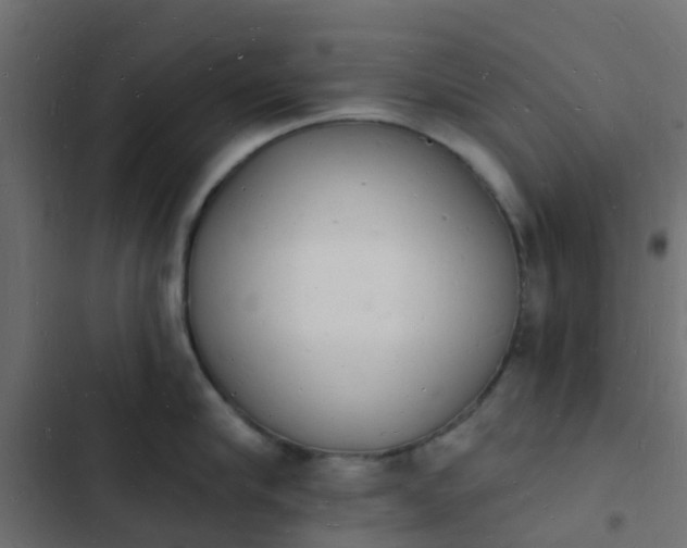 X0000103970910200809261831