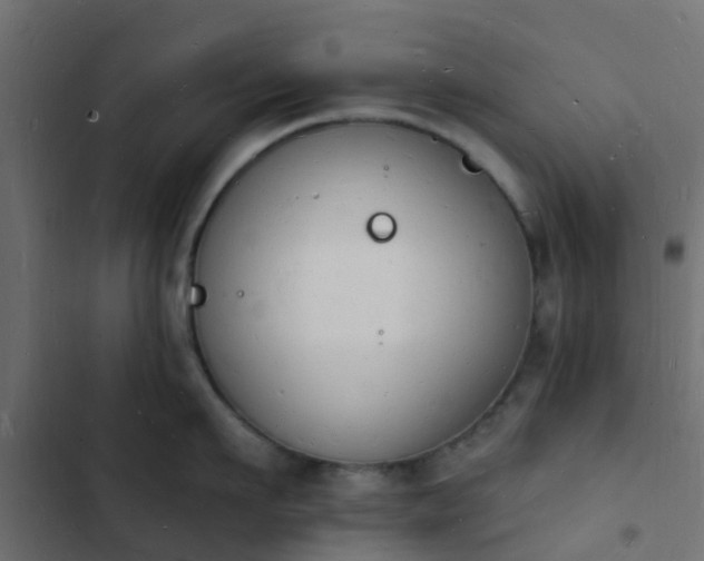 X0000103970911200809261831