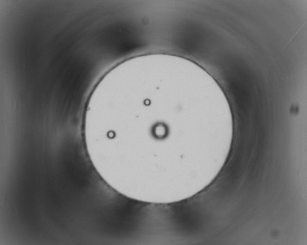 X0000103970912200809261831