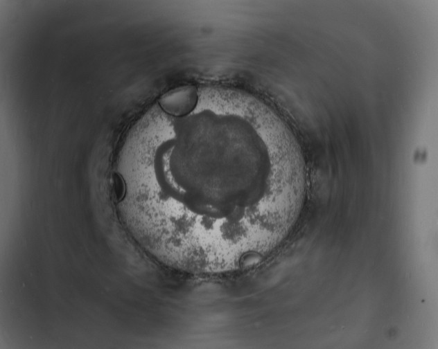 X0000103970913200809261831