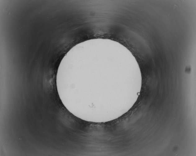 X0000103970914200809261831