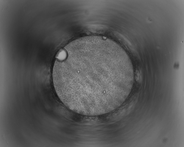 X0000103970915200809261831