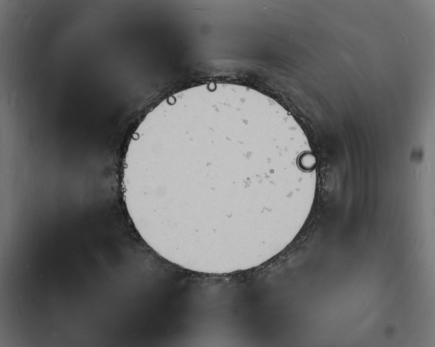 X0000103970916200809261831