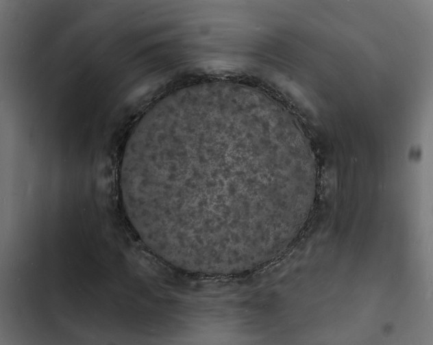 X0000103970917200809261831