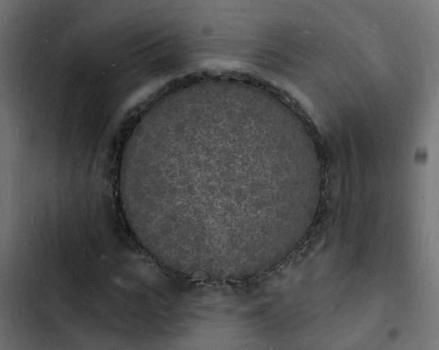 X0000103970919200809261831