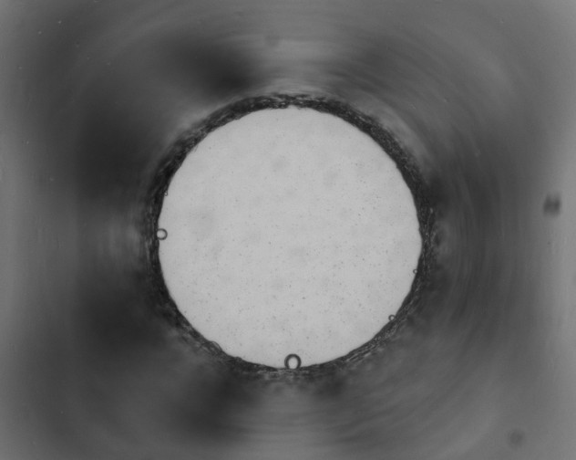 X0000103970920200809261831