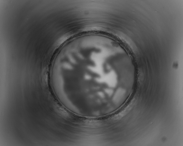 X0000103970921200809261831