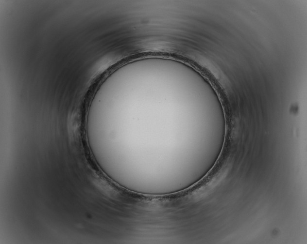 X0000103970922200809261831