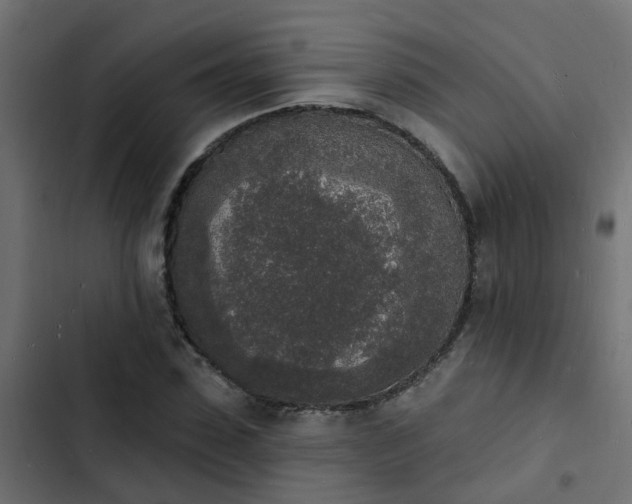 X0000103970923200809261831