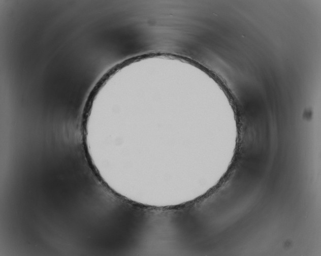 X0000103970924200809261831