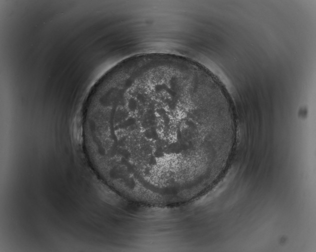 X0000103970925200809261831