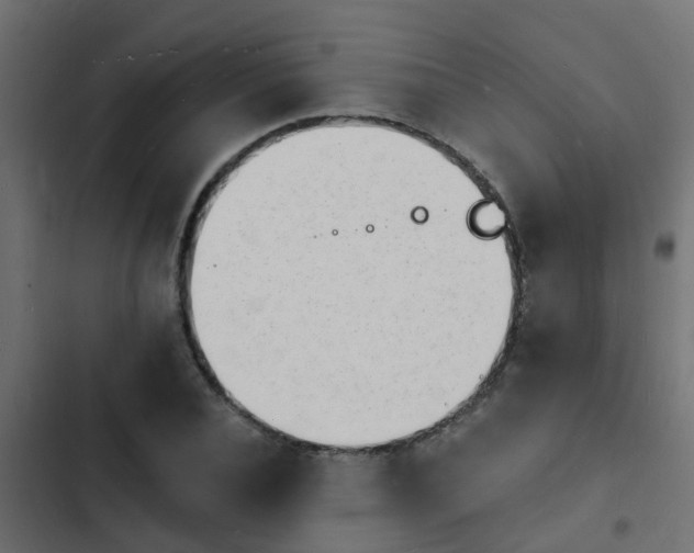 X0000103970928200809261831